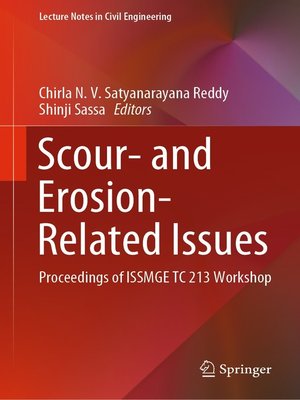 cover image of Scour- and Erosion-Related Issues